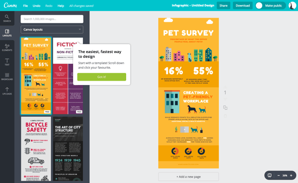 creating infographics in Canva