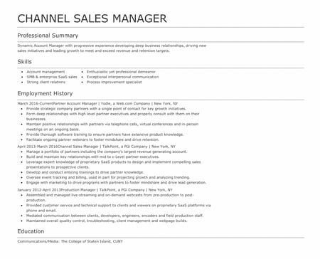 Channel Sales Manager resume example