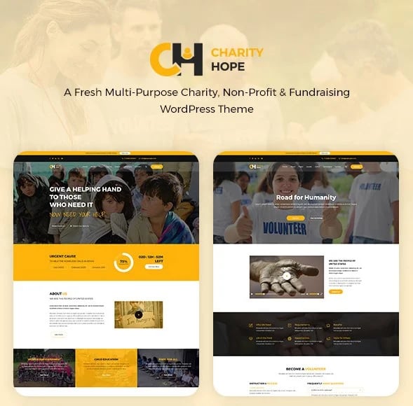 charity Hope wordpress theme NGO