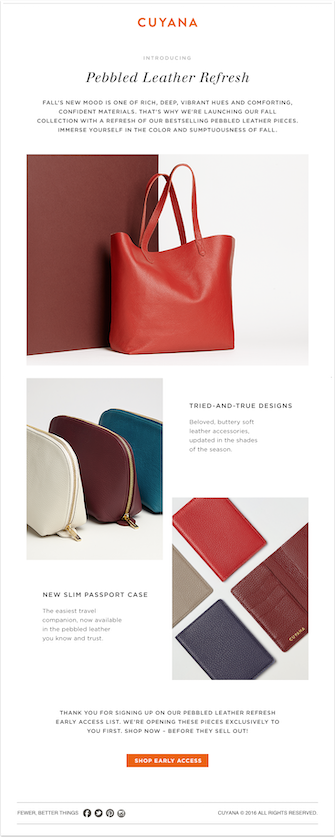 Cuyana Email Example.png?width=335&name=Cuyana Email Example - 14 of the Best Examples of Beautiful Email Design