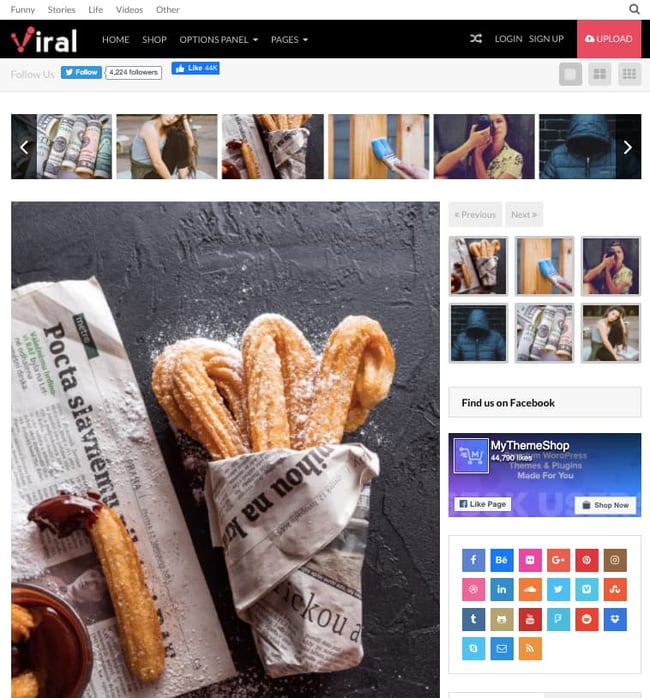 Demo of Viral by MyThemeShop provides dozens of social sharing icons and other features that make content sharing easy