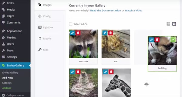 A user drags and drops a picture of a bull dog into the photo gallery built with the Envira Gallery plugin