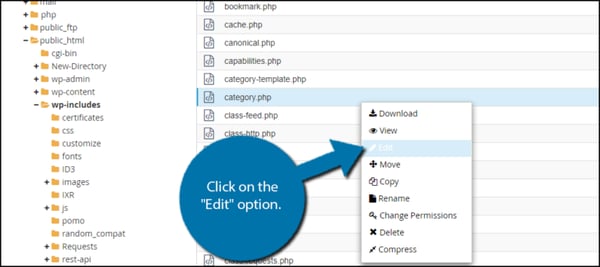 WordPress user right clicks category.php file to edit it 