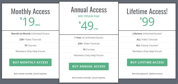 WP101 subscription plans offer different levels of access to its WordPress video tutorials