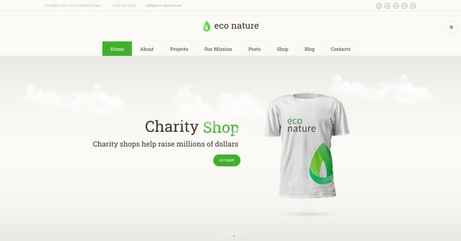 best eco-friendly wordpress themes: Eco Nature demo showcasing charity shop