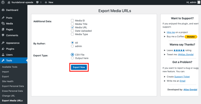 Export Now button outlined in red on Export Media URLs plugins setting page
