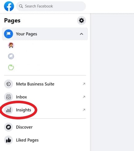 Screenshot of business page menu with Insights circled in red; Facebook Insights 