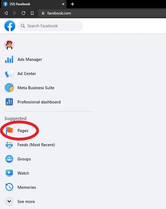Screen shot of the left menu with the page tab circled in red;  facebook insights