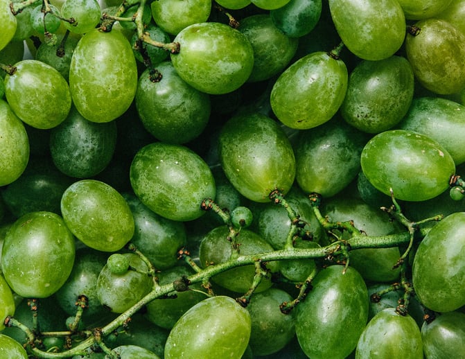 Fancy Crave stock image of green grapes