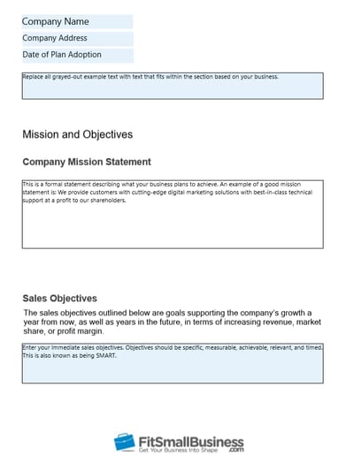 Small Business Sales Plan in Microsoft Word With Fillable Section Boxes