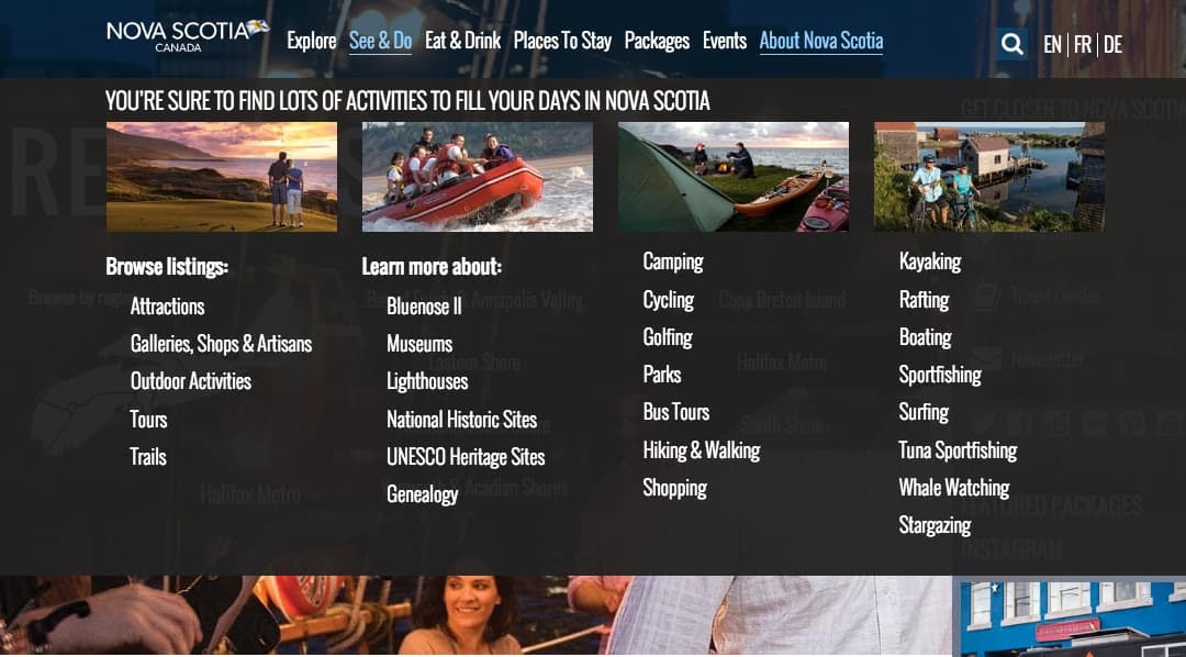 example of a mega menu on a website