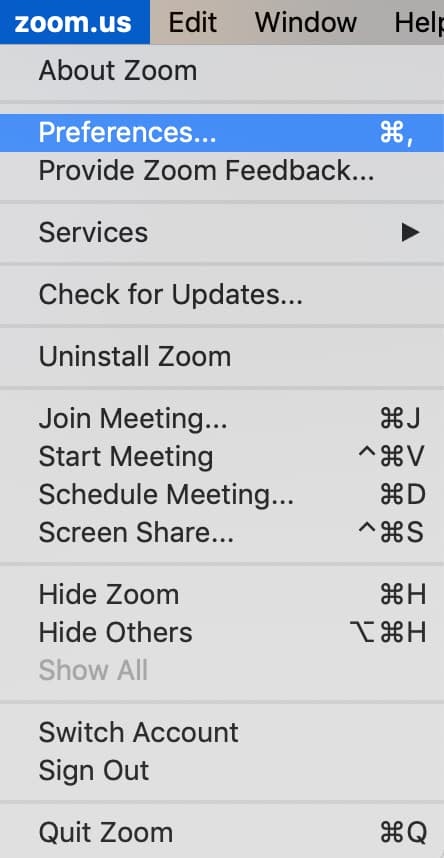 Zoom "Preferences" options.