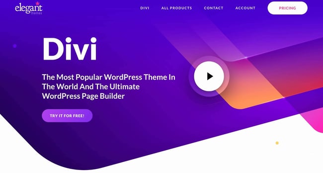 preview for the artist WordPress theme Divi
