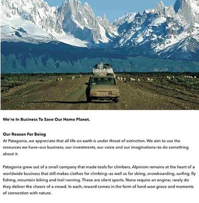 Business plan example: Patagonia mission statement