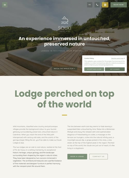 website background with bold image in header section followed by text-heavy section