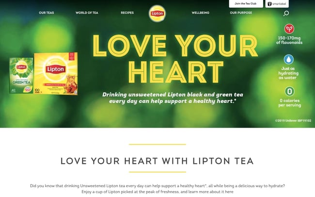 bad website design: Lipton example