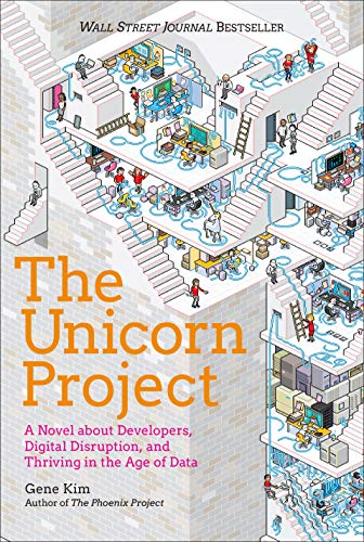 Unicorn Project  -  Best DevOp book for intermediates