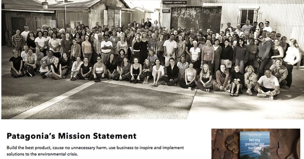 Patagonia vision and mission statement