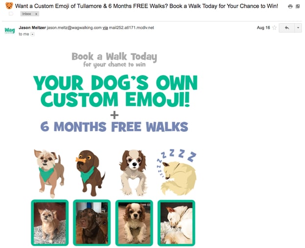 Email newsletter by Wag dog-walking service with pet name in the subject line