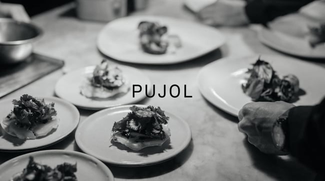 home page for the best restaurant website design pujol