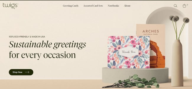 twigs paper landing page with brown website design
