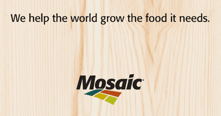 Catchy Business Slogans and Taglines Slogans: Mosaic