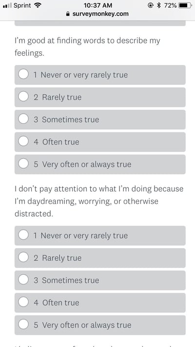 survey examples