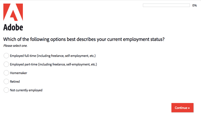 adobe demographic questionnaire example