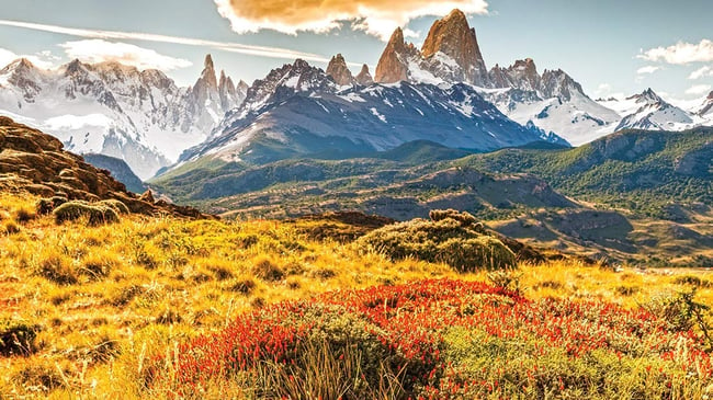 Best Missions Statement Examples: Patagonia