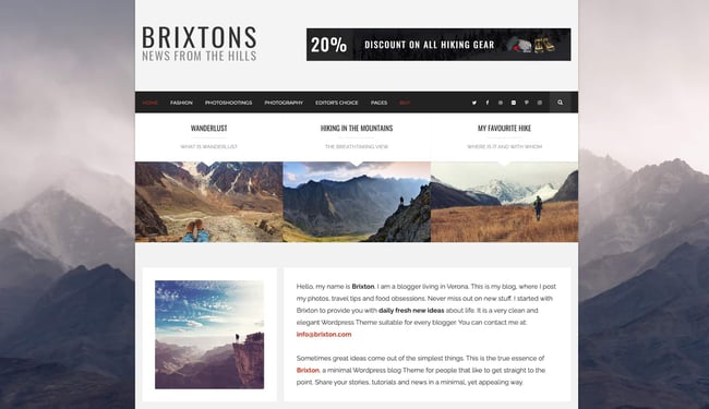demo page for the best wordpress theme for seo brixton