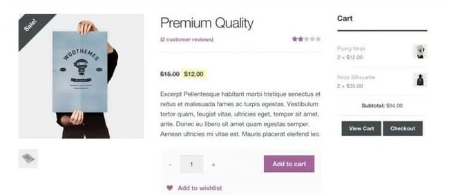 an example of a woocommerce custom post type product page
