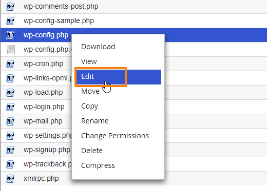Come aggiornare WordPress automaticamente tramite cPanel: Modifica il file wp-config.php