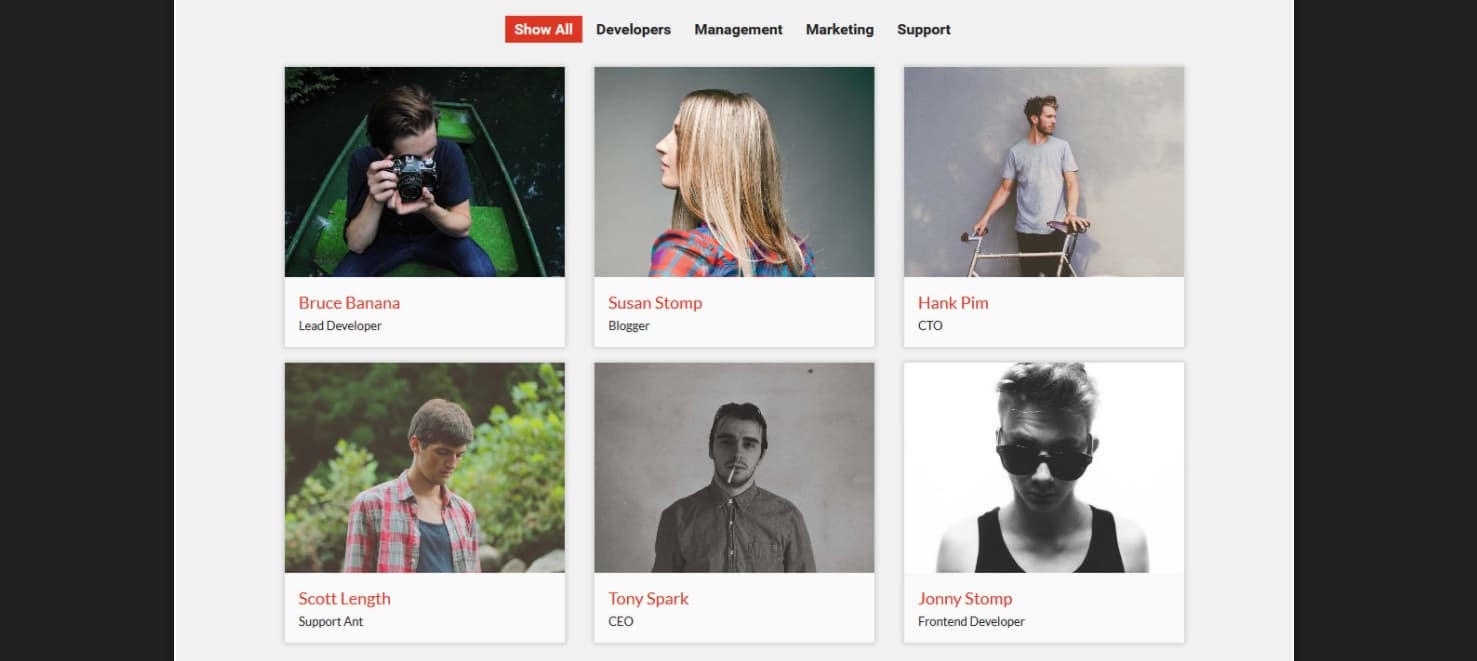 product page for the wordpress team member plugin Heroes Assemble