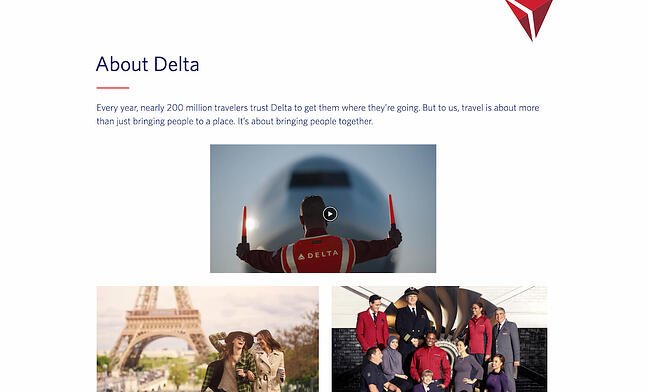 Company profile example: Delta
