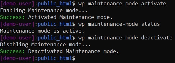 WP CLI maintenance mode example