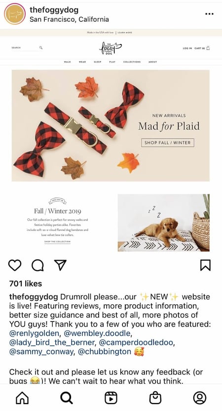 The Foggy Dog Instagram post to promote new website