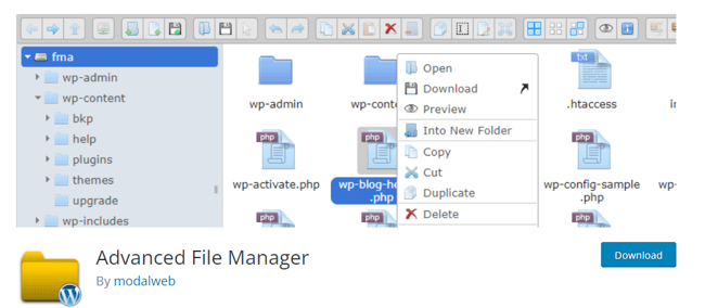 download manager wordpress, Advanced File Manager lets you easily edit, delete, upload, download, copy, and compress multiple file types