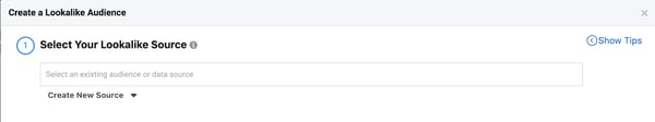 Facebook audience lookalike source audience.