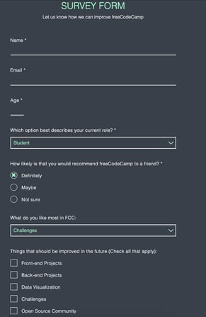survey html form with different input field types like message, dropdown and checkboxes