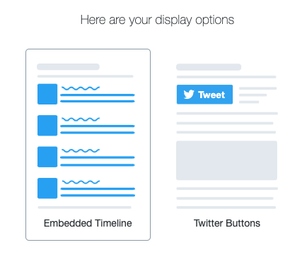 display options for twitter publish
