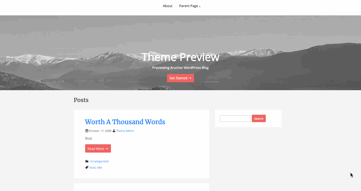 WordPress starter theme demo
