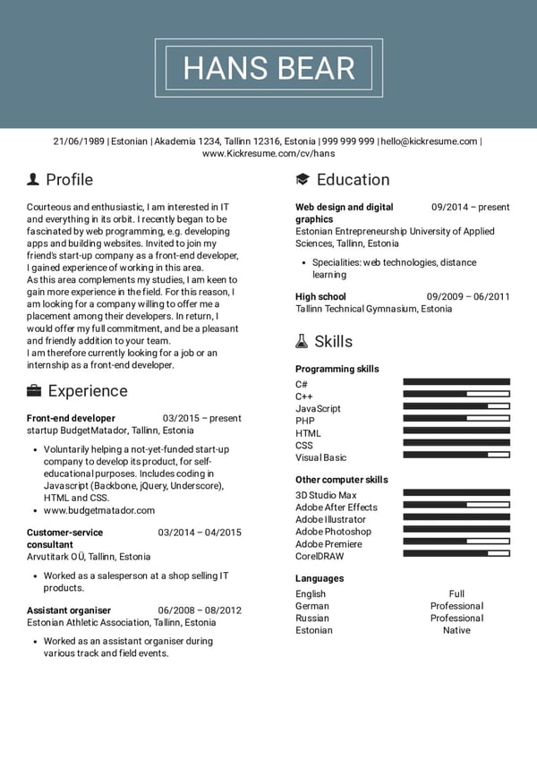 Example of a technical resume for a web developer