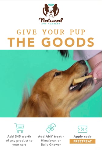 marketing de nicho de empresa de perros naturales