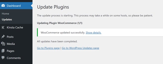 Wordpress plugin update