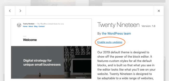 WordPress theme module with enable auto-updates hyperlinked text