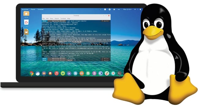 Linux software example