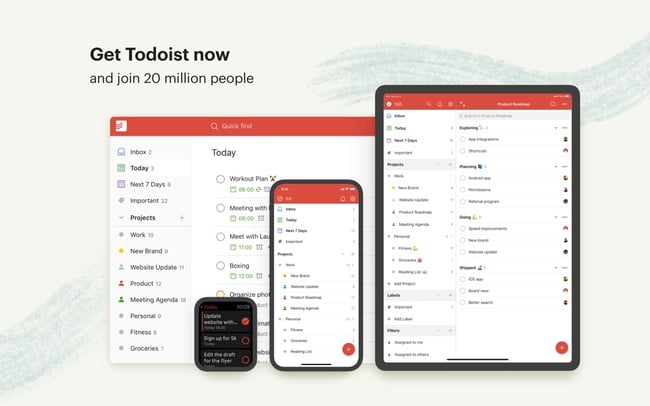 Todoist software example