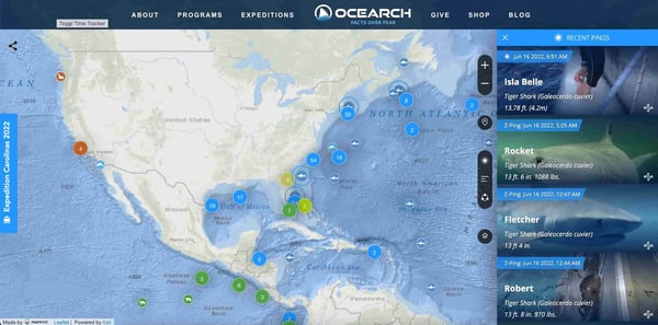website to cure boredom: ocean shark tracker