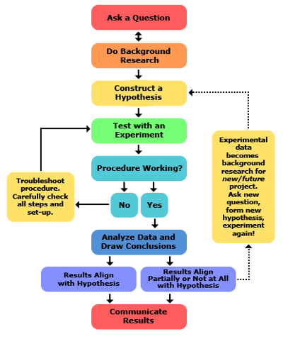 Scientific method infographic for building a process for growth