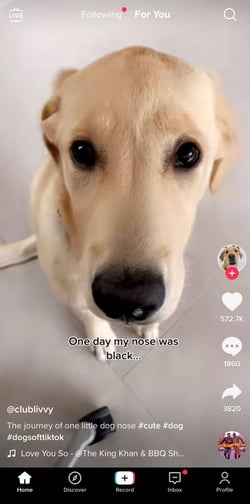 tiktok for you page to find trends